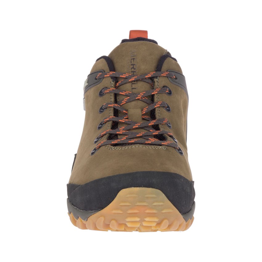 Chaussures Randonnée Merrell Chameleon 8 Stretch Waterproof Vert Foncé Olive Homme | B.C.SWVC